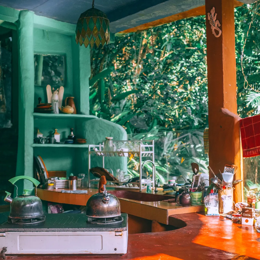 An open-air kitchen with green walls and plants